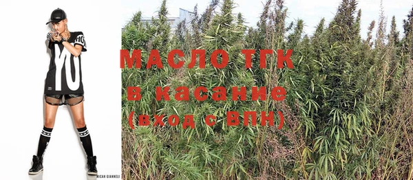 амф Бородино