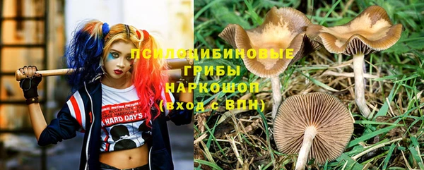 каннабис Верея