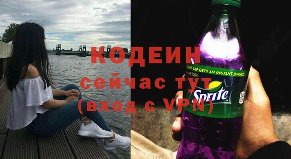 амф Бородино