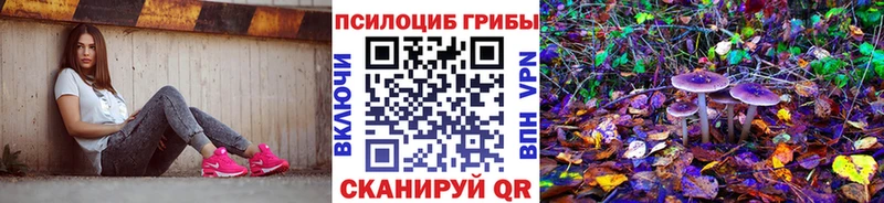 mega как войти  Кизилюрт  Псилоцибиновые грибы мицелий 