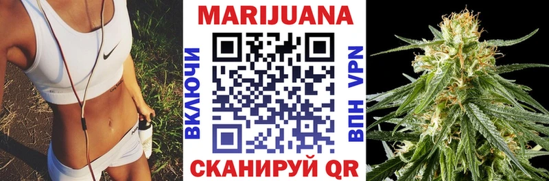где купить наркоту  Кизилюрт  Бошки марихуана план 